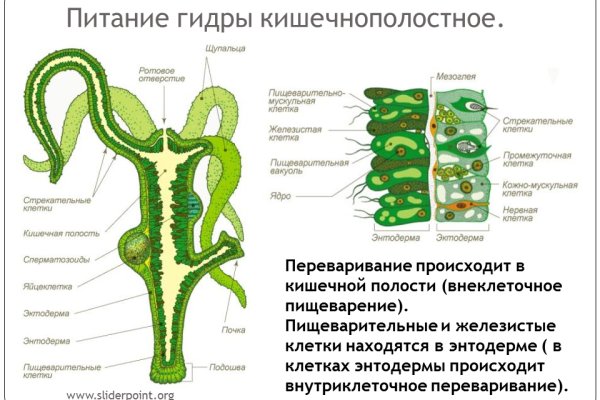 Кракен сайт даркнет vk2 top